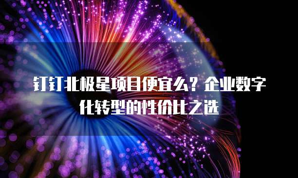 钉钉北极星项目便宜么?企业数字化转型的性价比之选