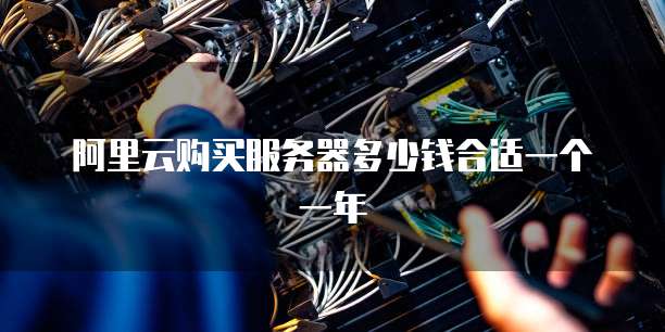 阿里云购买服务器多少钱合适一个一年