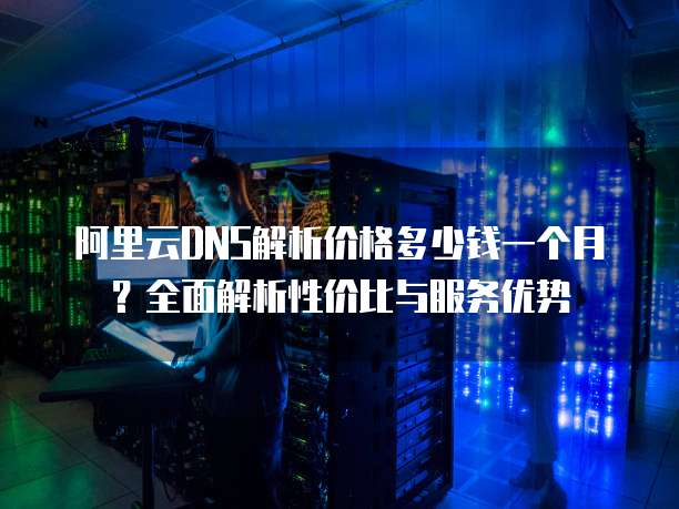 阿里云DNS解析价格多少钱一个月?全面解析性价比与服务优势