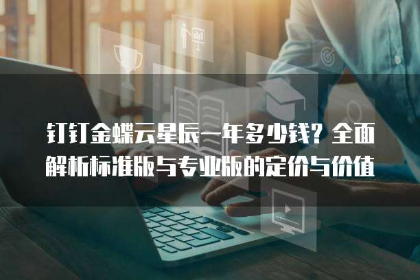 钉钉金蝶云星辰一年多少钱?全面解析标准版与专业版的定价与价值