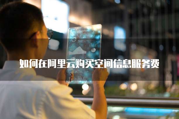 如何在阿里云购买空间信息服务费