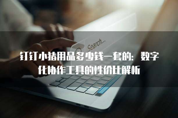 钉钉小猪用品多少钱一套的:数字化协作工具的性价比解析