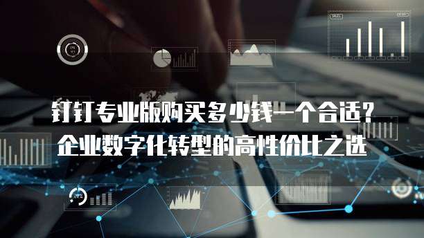 钉钉专业版购买多少钱一个合适?企业数字化转型的高性价比之选