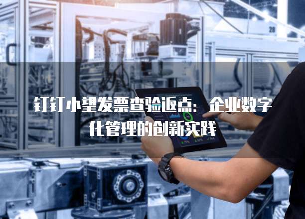 钉钉小望发票查验返点:企业数字化管理的创新实践
