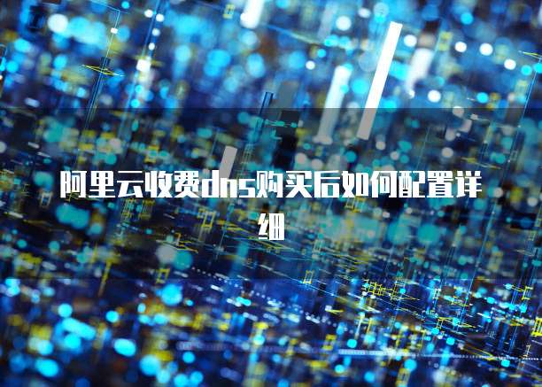 阿里云收费dns购买后如何配置详细