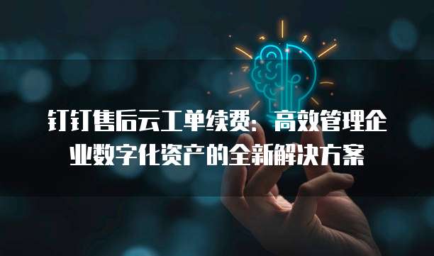 钉钉售后云工单续费:高效管理企业数字化资产的全新解决方案