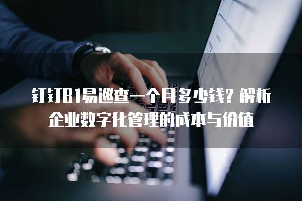 钉钉B1易巡查一个月多少钱?解析企业数字化管理的成本与价值