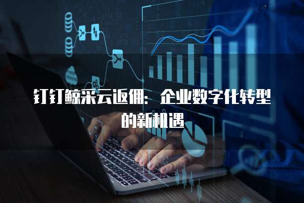 钉钉鲸采云返佣:企业数字化转型的新机遇