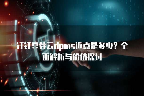 钉钉豆芽云dpms返点是多少?全面解析与价值探讨