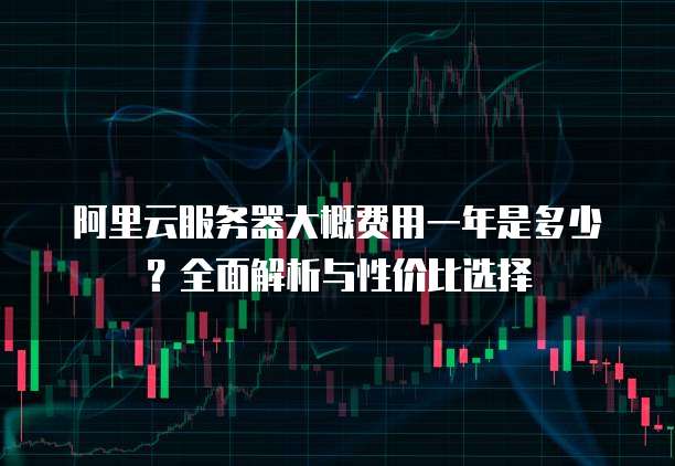 阿里云服务器大概费用一年是多少？全面解析与性价比选择