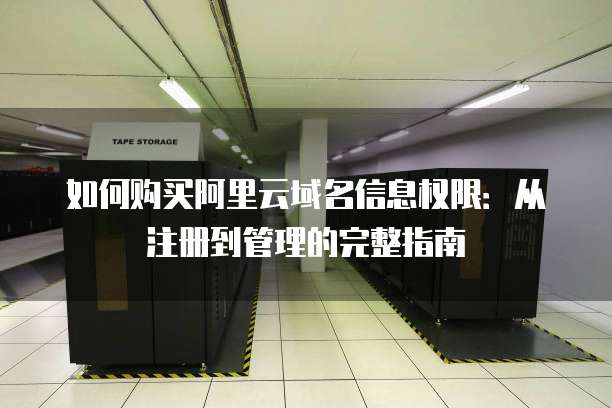 如何购买阿里云域名信息权限:从注册到管理的完整指南