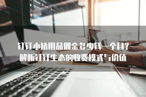 钉钉小猪用品佣金多少钱一个月？解析钉钉生态的收费模式与价值