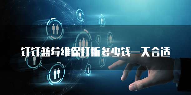 钉钉蓝莓维保打折多少钱一天合适