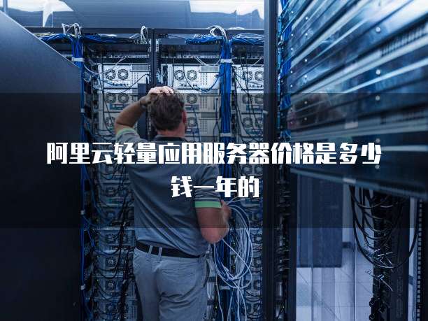 阿里云轻量应用服务器价格是多少钱一年的