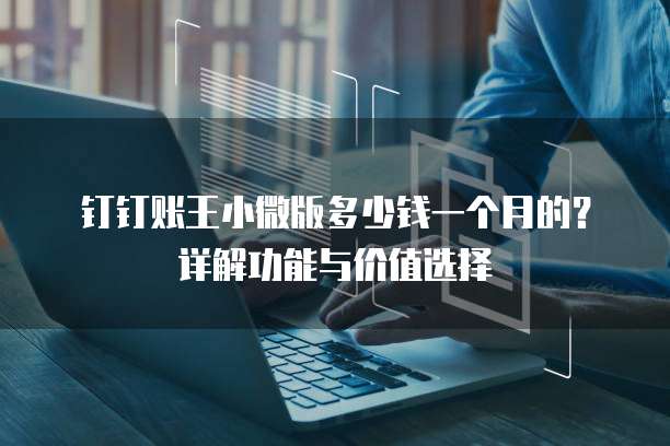 钉钉账王小微版多少钱一个月的?详解功能与价值选择