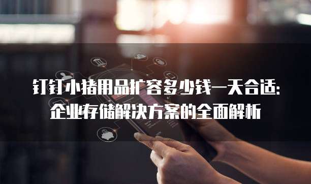 钉钉小猪用品扩容多少钱一天合适:企业存储解决方案的全面解析