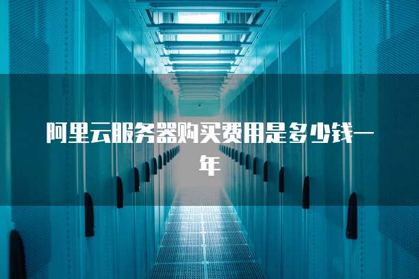 阿里云服务器购买费用是多少钱一年