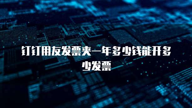 钉钉用友发票夹一年多少钱能开多少发票