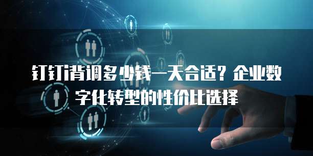 钉钉i背调多少钱一天合适?企业数字化转型的性价比选择