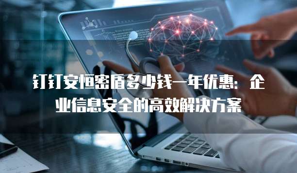 钉钉安恒密盾多少钱一年优惠：企业信息安全的高效解决方案