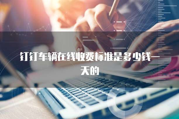 钉钉车辆在线收费标准是多少钱一天的