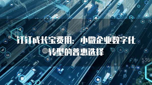 钉钉成长宝费用：小微企业数字化转型的普惠选择
