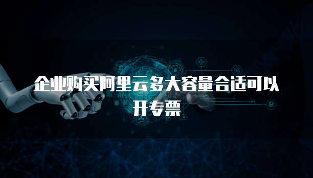 企业购买阿里云多大容量合适可以开专票