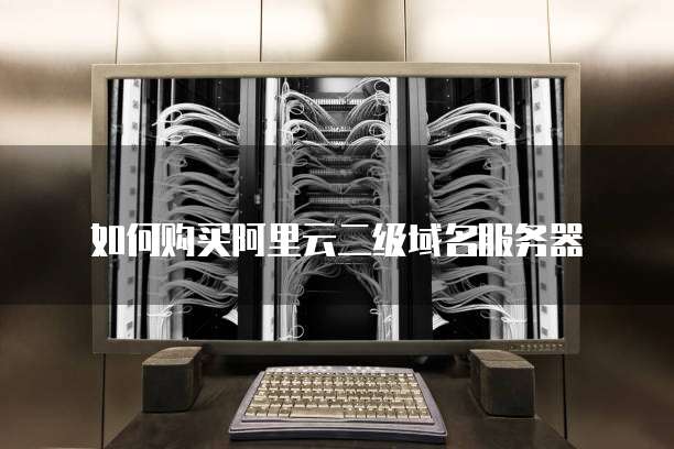 如何购买阿里云二级域名服务器