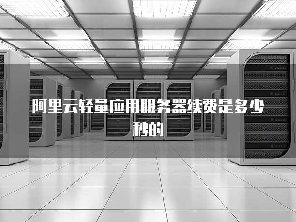 阿里云轻量应用服务器续费是多少秒的