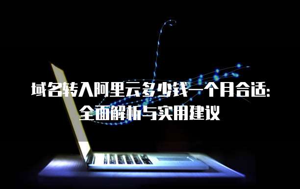 域名转入阿里云多少钱一个月合适:全面解析与实用建议