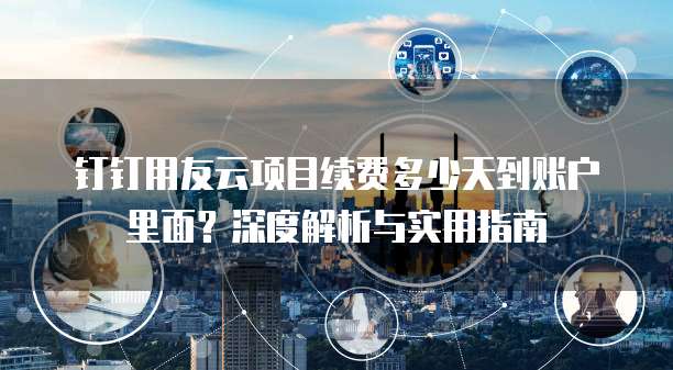 钉钉用友云项目续费多少天到账户里面?深度解析与实用指南