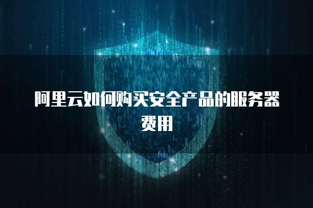阿里云如何购买安全产品的服务器费用