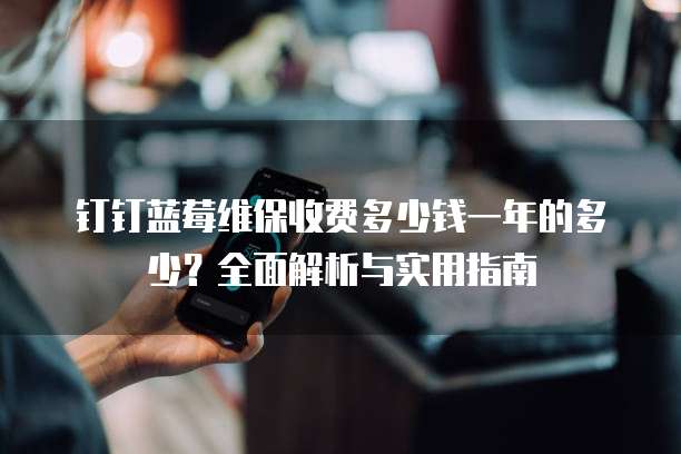 钉钉蓝莓维保收费多少钱一年的多少?全面解析与实用指南