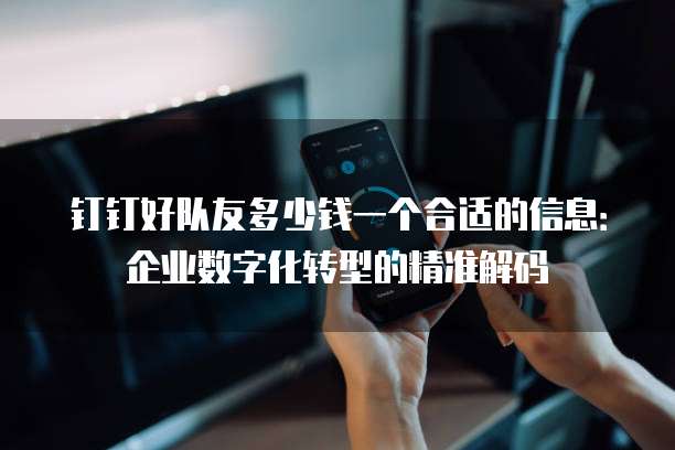 钉钉好队友多少钱一个合适的信息:企业数字化转型的精准解码