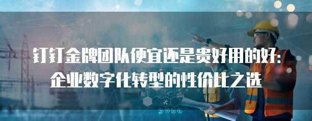 钉钉金牌团队便宜还是贵好用的好:企业数字化转型的性价比之选