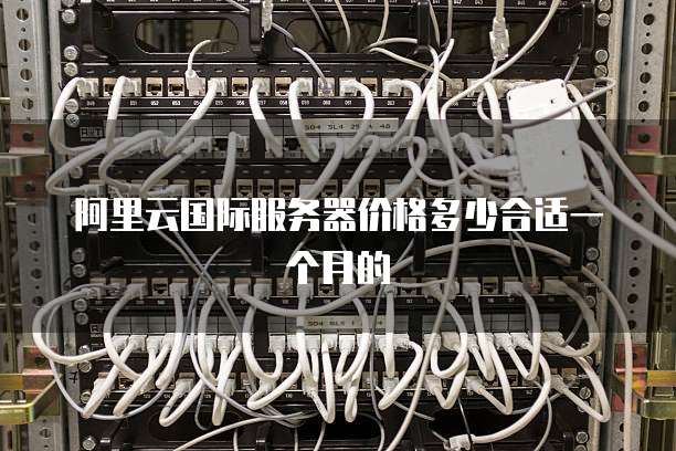 阿里云国际服务器价格多少合适一个月的