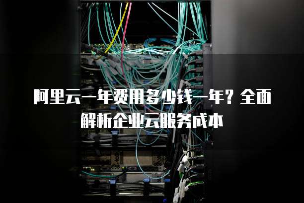 阿里云一年费用多少钱一年?全面解析企业云服务成本