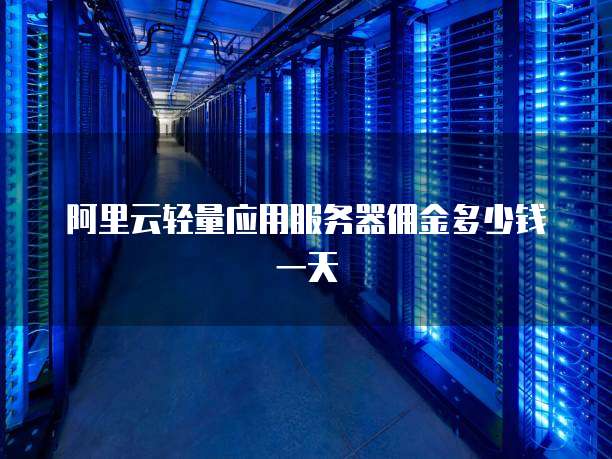 阿里云轻量应用服务器佣金多少钱一天