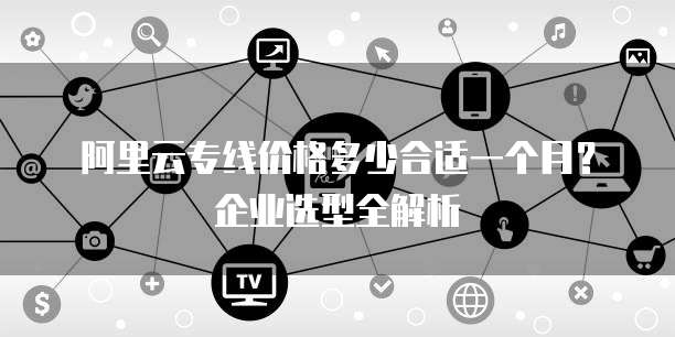 阿里云专线价格多少合适一个月?企业选型全解析