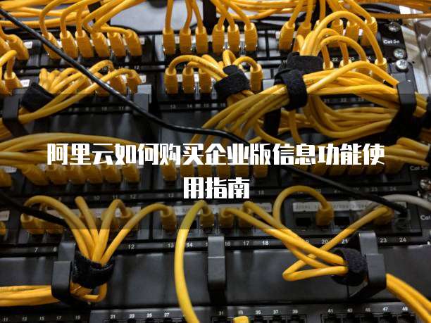 阿里云如何购买企业版信息功能使用指南