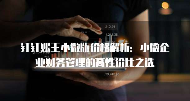 钉钉账王小微版价格解析:小微企业财务管理的高性价比之选