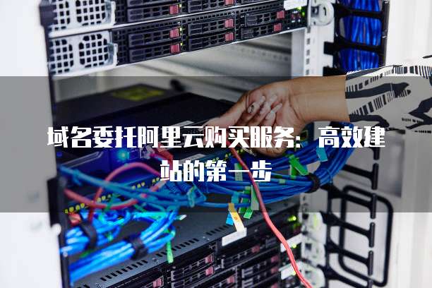 域名委托阿里云购买服务:高效建站的第一步