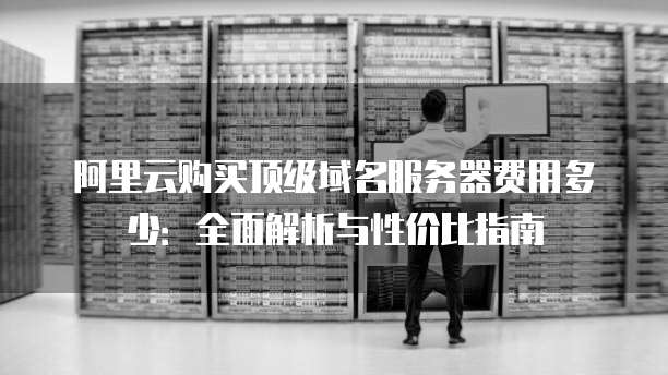 阿里云购买顶级域名服务器费用多少：全面解析与性价比指南
