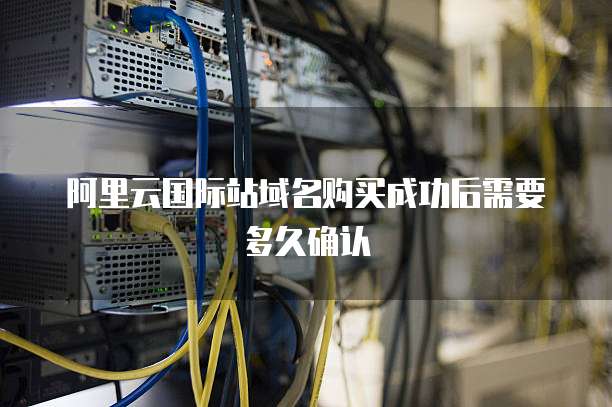 阿里云国际站域名购买成功后需要多久确认