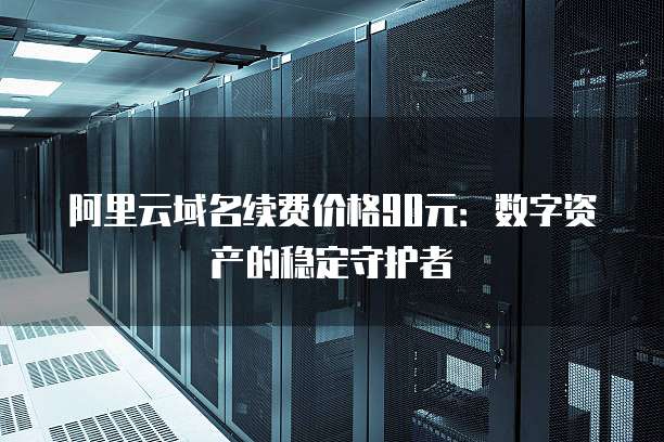 阿里云域名续费价格90元：数字资产的稳定守护者