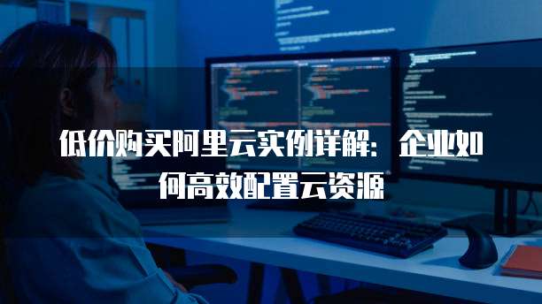 低价购买阿里云实例详解:企业如何高效配置云资源