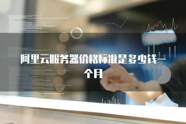 阿里云服务器价格标准是多少钱一个月