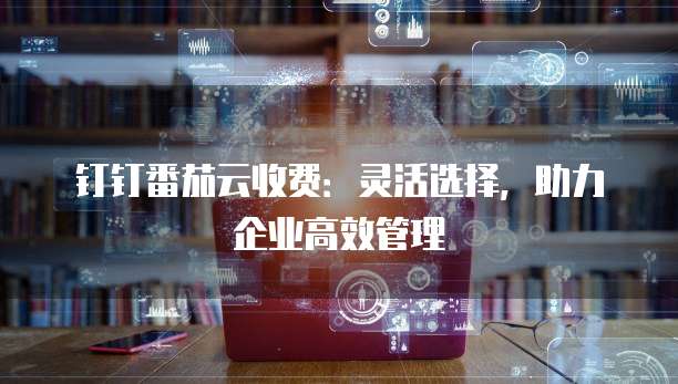 钉钉番茄云收费:灵活选择,助力企业高效管理