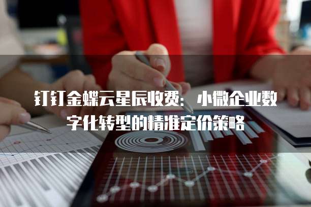 钉钉金蝶云星辰收费:小微企业数字化转型的精准定价策略
