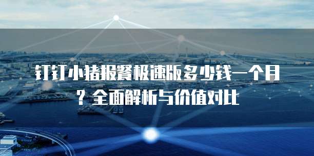 钉钉小猪报餐极速版多少钱一个月？全面解析与价值对比